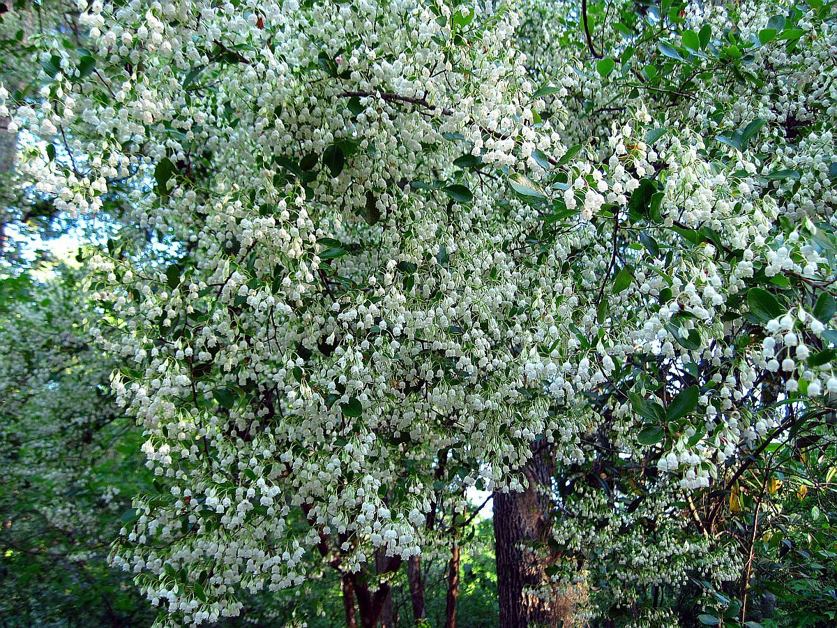 13 April 2011
