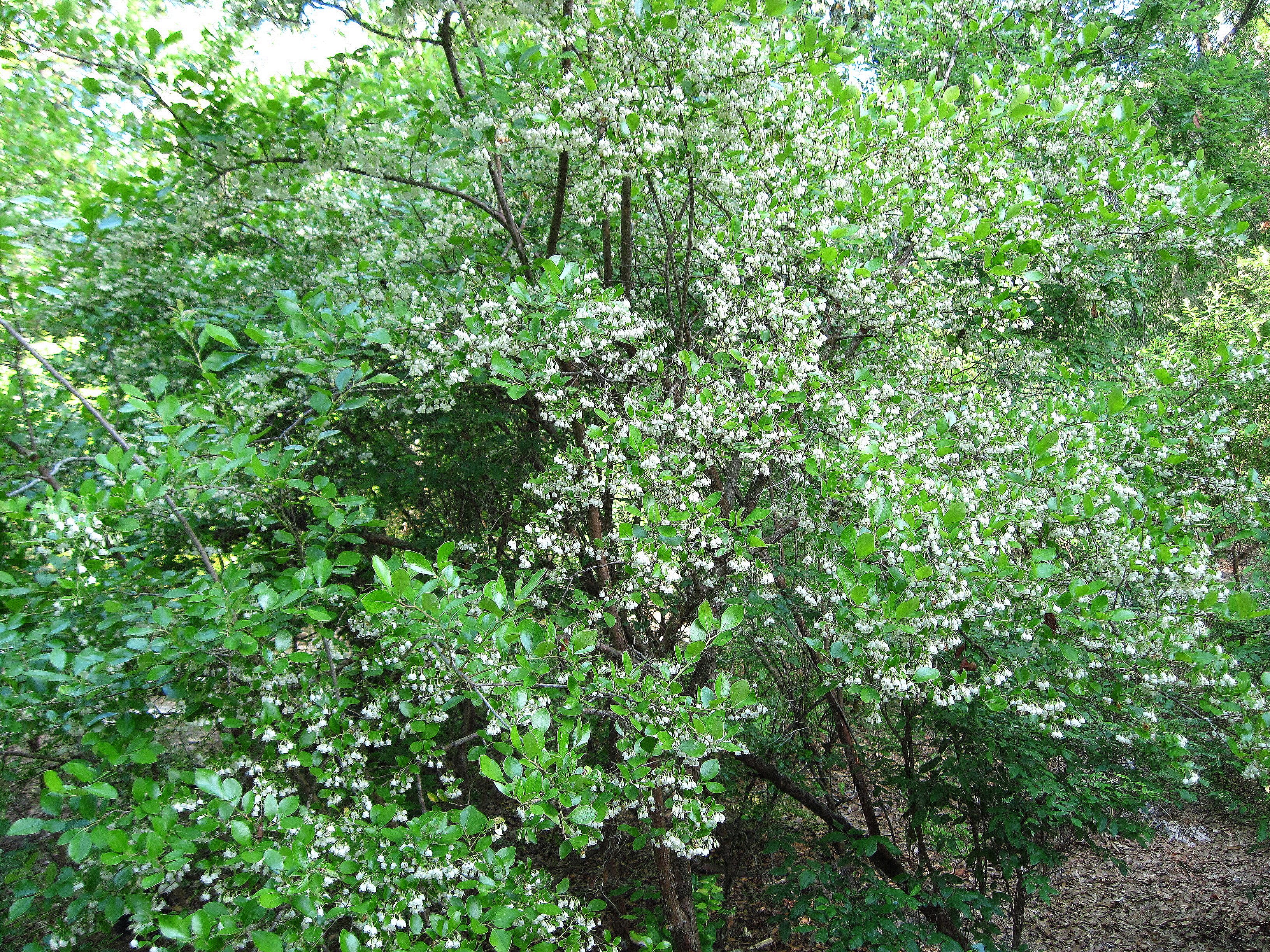 17 April 2011
