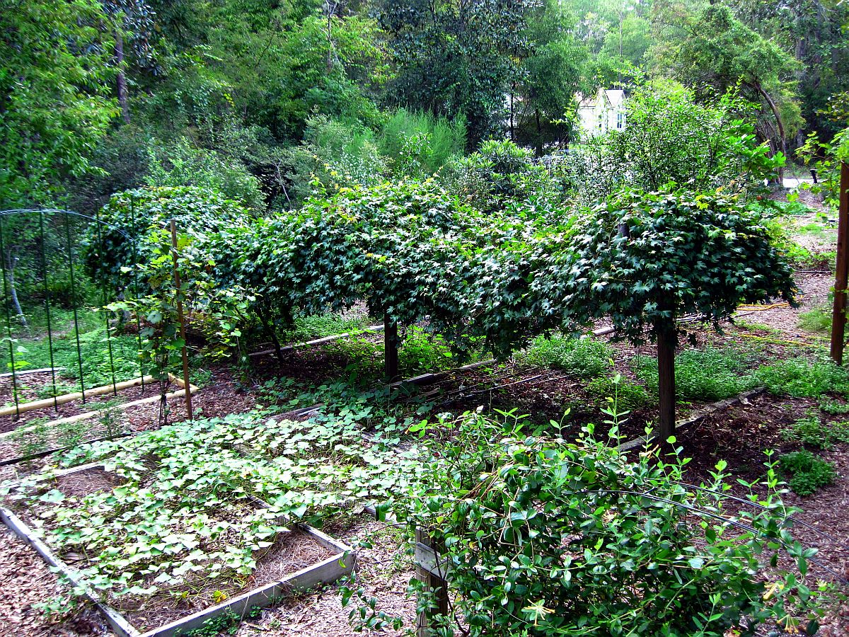 13 Aug. 2011