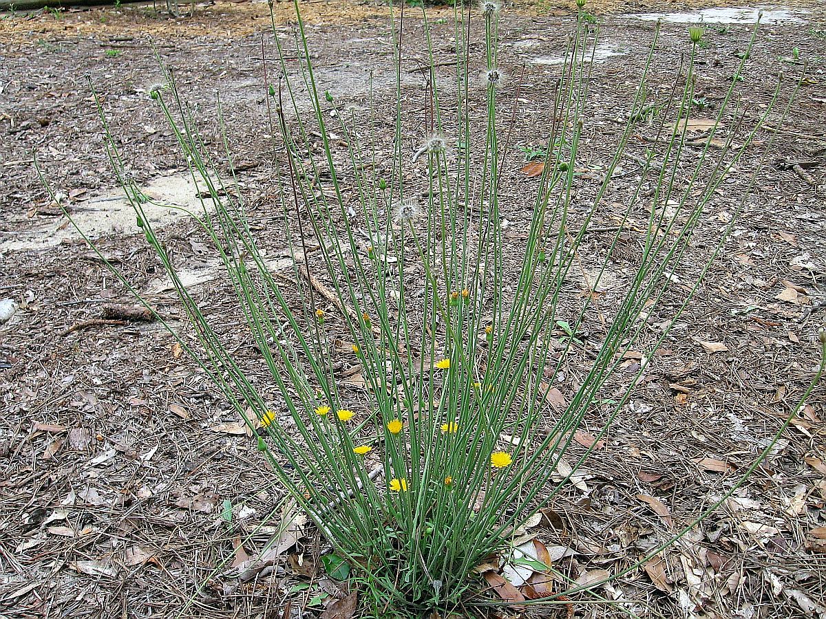 1 May 2010