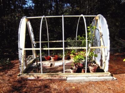 Greenhouse