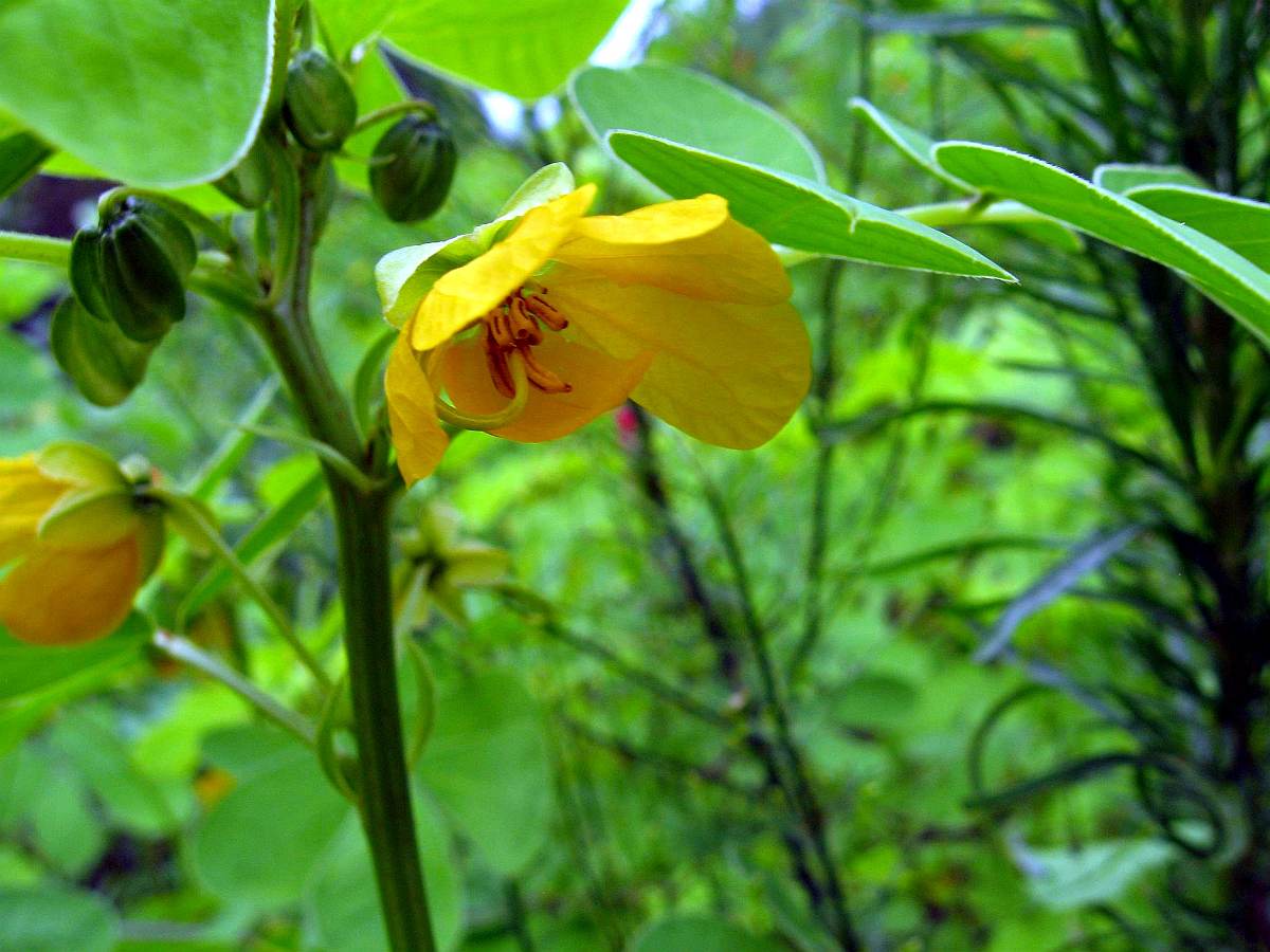 16 Aug. 2009